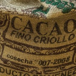 cacao